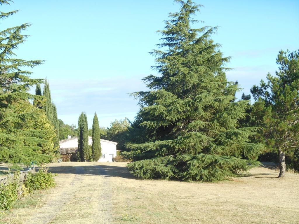 Bed and Breakfast Le Colombier à Villeneuve-sur-Lot Extérieur photo