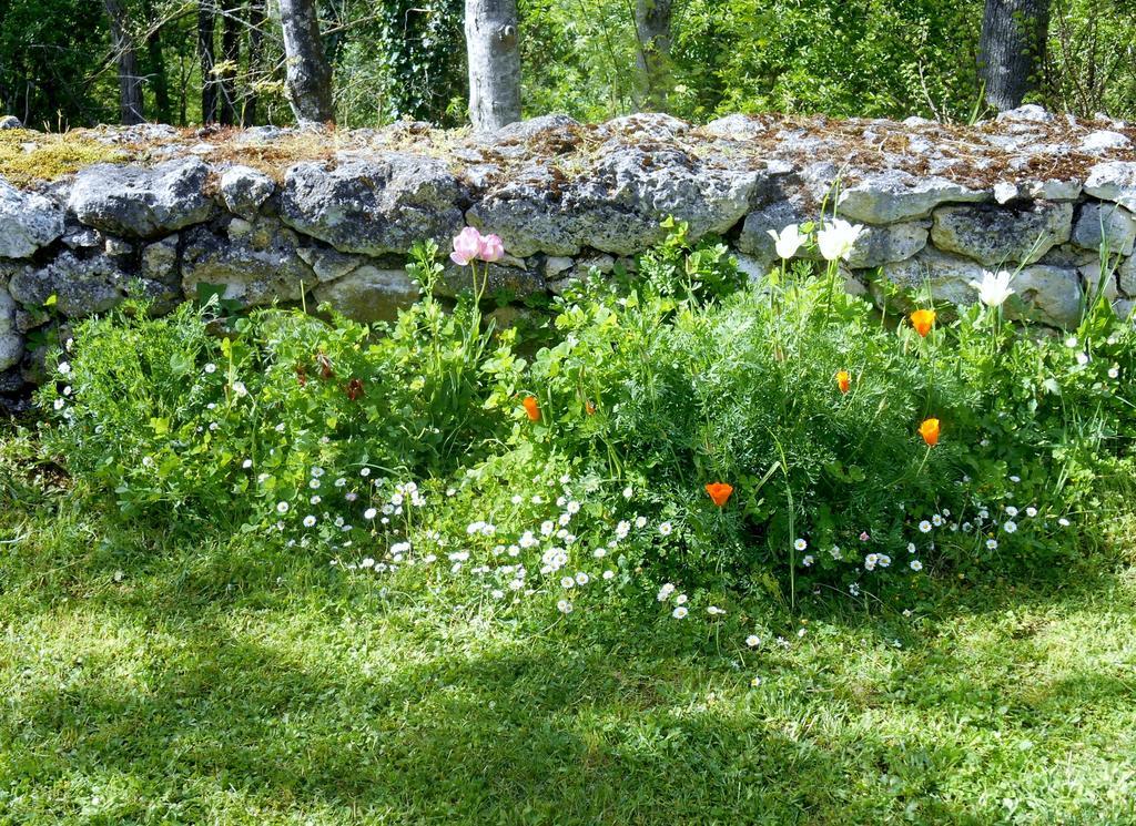 Bed and Breakfast Le Colombier à Villeneuve-sur-Lot Extérieur photo