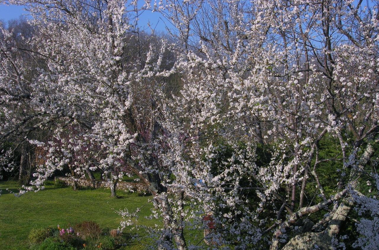 Bed and Breakfast Le Colombier à Villeneuve-sur-Lot Extérieur photo